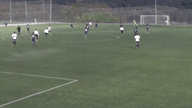 Video of 2021 Spotlight