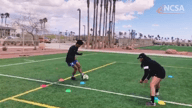 Video of 2020 Highlights