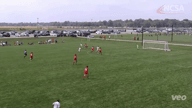 Video of 2021 Highlights