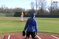 Video of January 2014