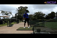 Video of October 2014