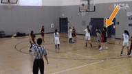 Video of 2019 Highlights