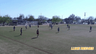 Video of 2021 Spotlight 