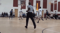 Video of 2017 Highlights