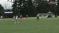 Video of 2017 Highlights