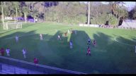Video of 2020 Highlights