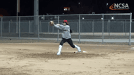 Video of June 2017