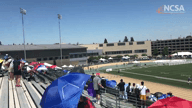 Video of 2020 Highlights