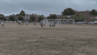 Video of 2020 Highlights