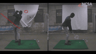 Video of Swing Breakdown - January 2019
