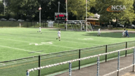 Video of 2019 Highlights