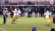 Video of 2021 Highlights