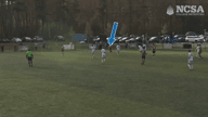 Video of 2023 Highlights