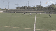 Video of 2020 Highlights #3
