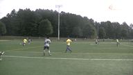 Video of 2020 Highlights