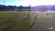 Video of 2024 Highlights