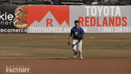 Video of 2021 Spotlight