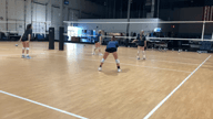 Video of 2020 Highlights