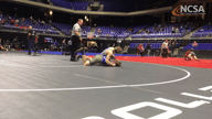 Video of 2019 Highlights