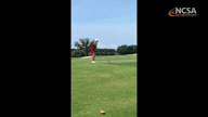 Video of February 2020
