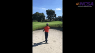 Video of September 2016