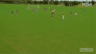 Video of 2021 Highlights	