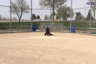 Video of May 2014