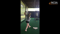 Video of April 2017