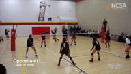 Video of 2019 Highlights