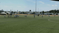 Video of 2024 Summer Highlights