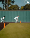 Video of 2024 Spotlight