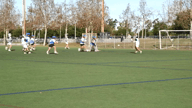 Video of 2024 Highlights