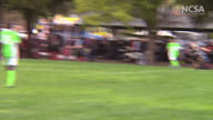 Video of 2020 Highlights