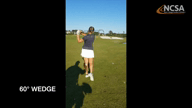 Video of May 2020 