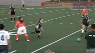 Video of 2016 Highlights