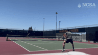 Video of 2024 Highlights