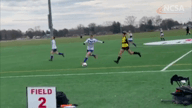 Video of 2019 Highlights