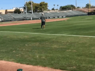 Video of January 2021