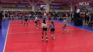 Video of 2019 Highlights