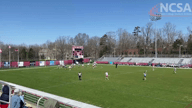 Video of 2020 Highlights