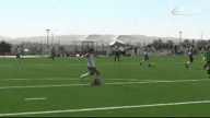 Video of 2018 Highlights