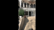 Video of 2023 Spotlight