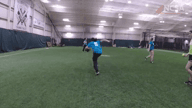 Video of January 2019