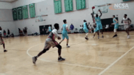 Video of 2019 Highlights
