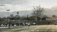 Video of 2024 Spotlight