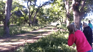 Video of 2013 Highlights