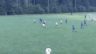 Video of 2024 Spotlight