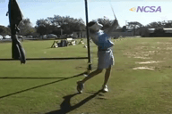 Video of Spring 2012
