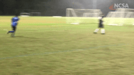 Video of 2018 Highlights