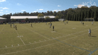 Video of 2020 Highlights